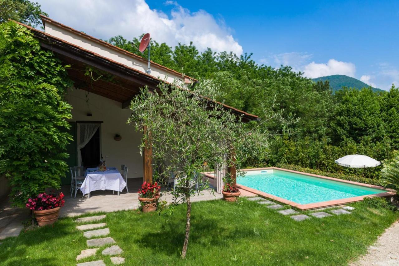 Villa Con Piscina Esclusiva Nel Verde Lucca Buitenkant foto